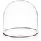 Plymor 4" x 4" Glass Display Dome Cloche (Silver Rim Glass Tray Base)
